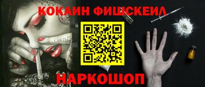 стафф Кудрово