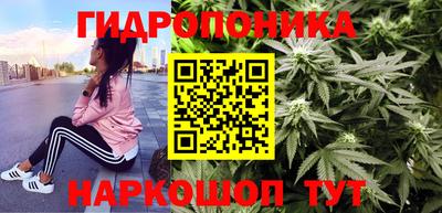 гашик Кузнецк