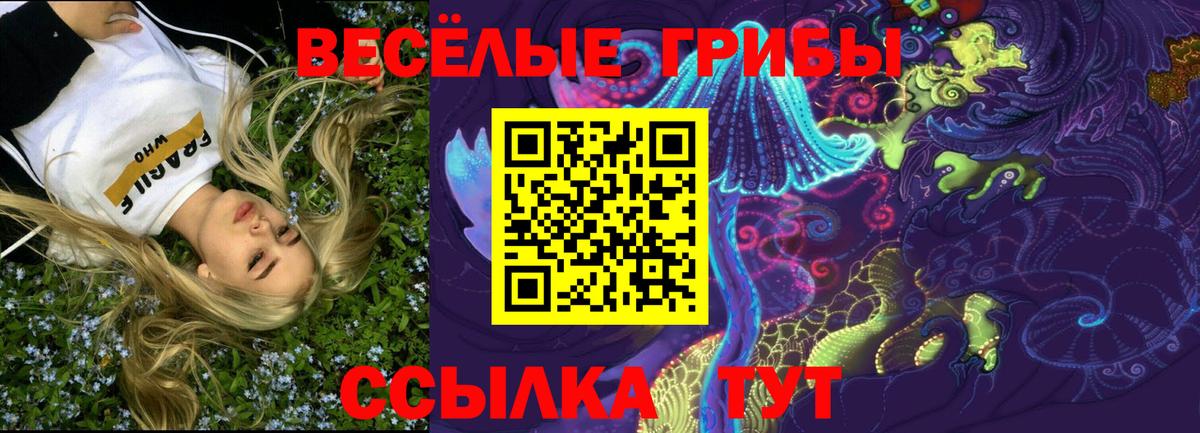 где найти наркотики  Псилоцибиновые грибы Psilocybine cubensis  Вход с VPN  Калининград 